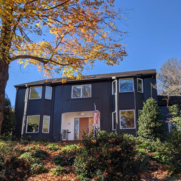 Petersson Window Replacement